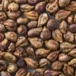 Neuro Serge Ingredients